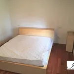 Rent 5 bedroom apartment of 95 m² in Vicenza