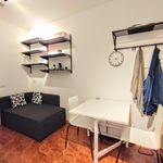 Rent 1 bedroom apartment in Milan