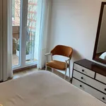 Rent a room in madrid