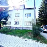 Rent 4 bedroom apartment of 120 m² in Ostrava