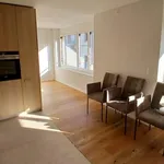 Rent 2 bedroom apartment of 25 m² in Basel