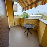 Rent 3 bedroom apartment of 100 m² in Cologno Monzese