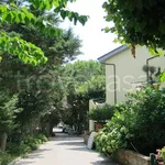 Rent 2 bedroom apartment of 45 m² in Badolato