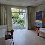 Rent 1 bedroom apartment of 12 m² in middelburg