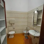 Rent 2 bedroom apartment of 60 m² in Bologna