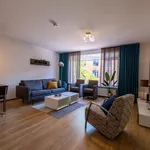 Rent 2 bedroom apartment of 45 m² in Eindhoven