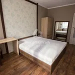 Rent 1 bedroom apartment of 142 m² in Zielona Góra