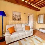 Rent 3 bedroom apartment of 90 m² in Perugia