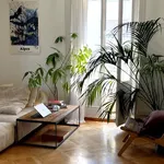 Rent 2 bedroom apartment in Bern