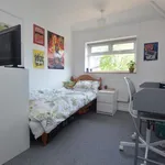 Rent 4 bedroom flat in Norwich