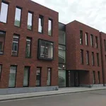 Rent 1 bedroom apartment in Leuven