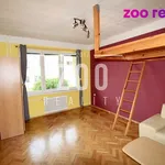 Rent 1 bedroom apartment of 24 m² in České Budějovice