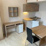 Rent 1 bedroom apartment in Brno