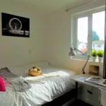 Rent 1 bedroom apartment in Coventry