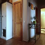 Rent 2 bedroom apartment of 70 m² in Prague