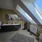 Rent 5 bedroom house in České Budějovice