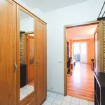 Rent 1 bedroom apartment in Brno