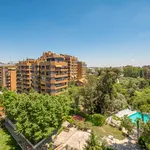 Rent 7 bedroom apartment in Madrid