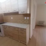 Rent 2 bedroom apartment of 52 m² in Ústí nad Labem