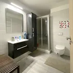 Rent 2 bedroom apartment in Praha 5