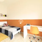 Rent 1 bedroom apartment of 15 m² in Verona