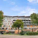 Rent 2 bedroom apartment of 61 m² in Dordrecht