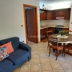 Rent 2 bedroom apartment of 50 m² in Spoltore