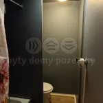 Pronajměte si 1 ložnic/e byt o rozloze 36 m² v Jílové