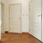 Rent 3 bedroom apartment in TOURNAI