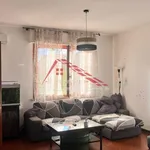 Rent 5 bedroom apartment of 105 m² in Pisa