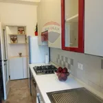 Rent 2 bedroom apartment of 60 m² in Milano