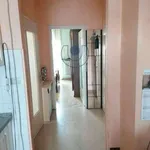 Rent 2 bedroom apartment of 50 m² in Turin