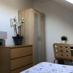 Rent 5 bedroom house in Sheffield