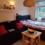 Rent 1 bedroom apartment of 14 m² in Arnhem