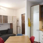 Rent 1 bedroom apartment of 35 m² in Monza