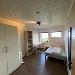 Rent 6 bedroom apartment of 80 m² in Trondheim