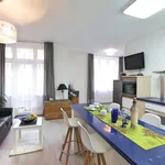 Rent 1 bedroom apartment of 56 m² in Prague