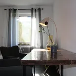 Rent 2 bedroom apartment of 50 m² in Dortmund