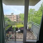 Rent 2 bedroom apartment of 50 m² in Laanhuizen