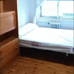 Rent 6 bedroom apartment in León