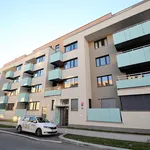 Pronajměte si 2 ložnic/e byt o rozloze 55 m² v Prague