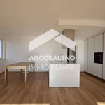 Rent 4 bedroom apartment of 119 m² in Trento