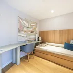 Rent 1 bedroom apartment in London