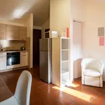 Rent 2 bedroom apartment of 35 m² in Udine