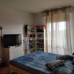 Rent 3 bedroom apartment of 70 m² in Pisa