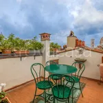 Rent 6 bedroom apartment of 150 m² in Firenze