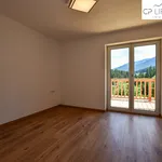 Rent 3 bedroom apartment of 71 m² in Kitzbühel