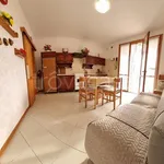 Rent 2 bedroom house of 50 m² in Comacchio