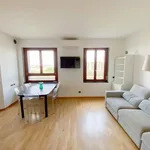 Rent 2 bedroom apartment of 55 m² in Milano