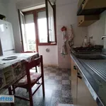 Rent 2 bedroom apartment of 50 m² in Turin